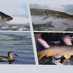 Goesselsdorfer Seeblick Panzió 3*