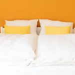 Goesselsdorfer Seeblick