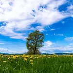 Goesselsdorfer Seeblick 3*