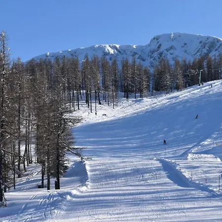 Goesselsdorfer Seeblick فندق مبيت وإفطار 3*