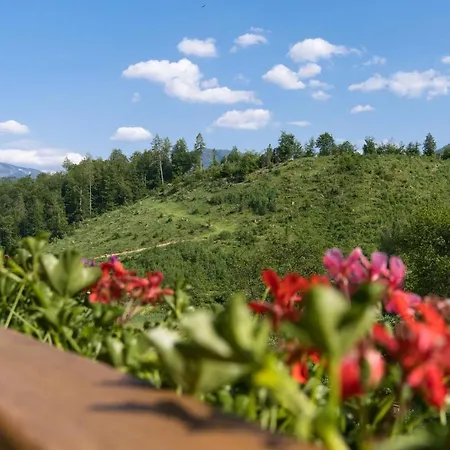 Goesselsdorfer Seeblick