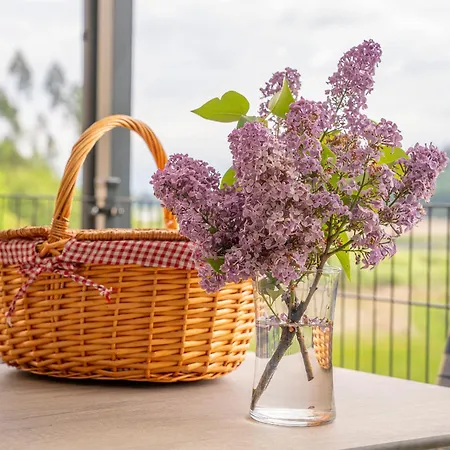 Bed and Breakfast Goesselsdorfer Seeblick