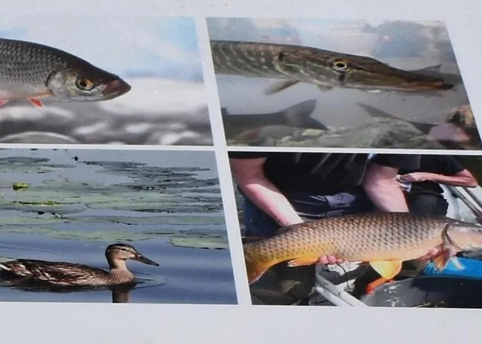 Goesselsdorfer Seeblick Отель типа 