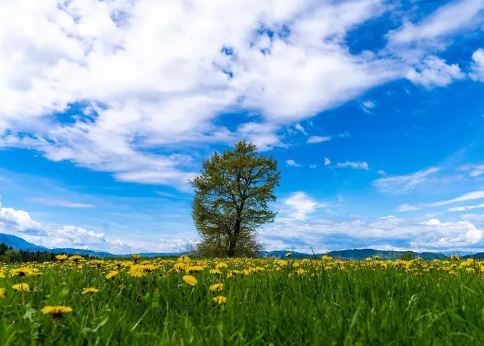 Goesselsdorfer Seeblick 3*